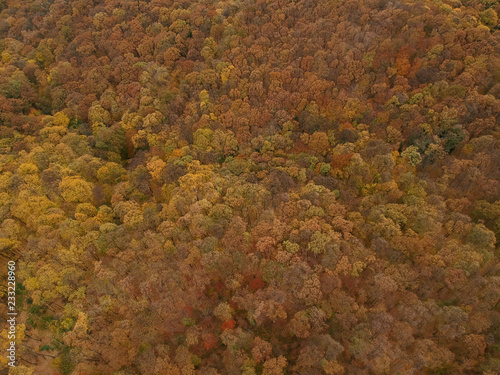 Aerial view at the autumn f...