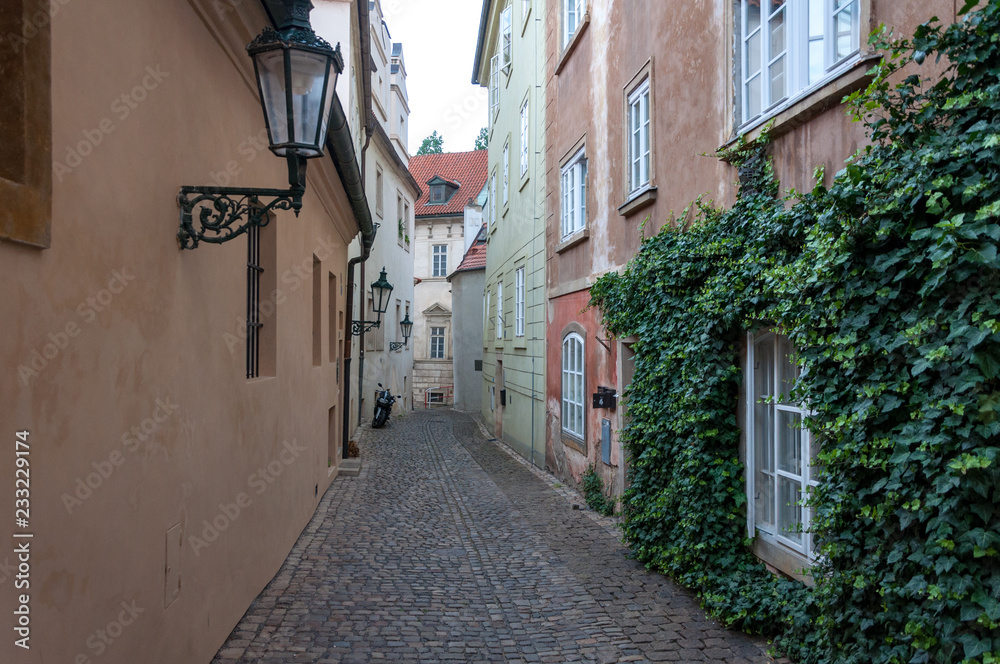 Fototapeta premium View of a narrow medieval street with ancient lanterns and a wall covered with ivy.