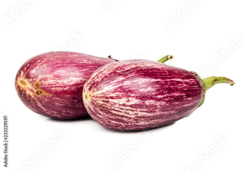Two purple eggplants
