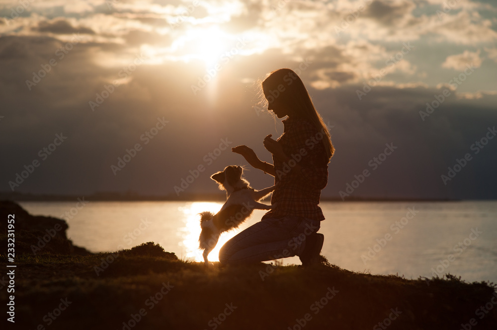 © ruslanshug - silhouette of young woman training chihuahua small dog on sea sunset background © ruslanshug - silhouette of young woman training chihuahua small dog on sea sunset background