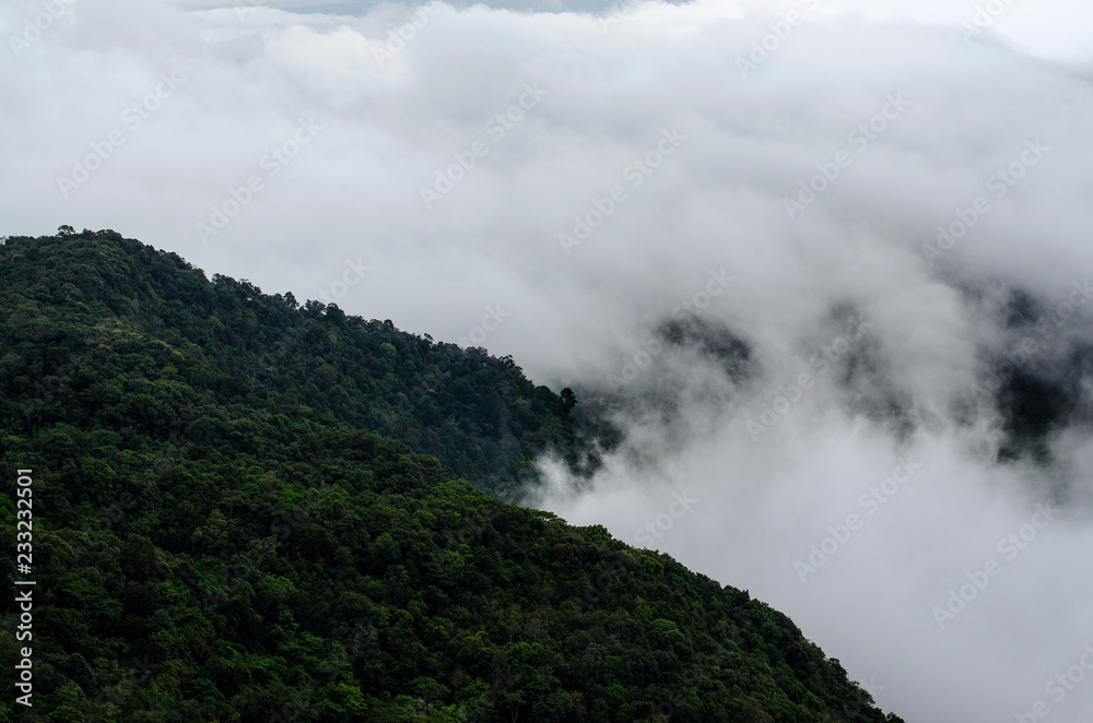 Fog on high mountain in Phu Ruea National Park, Loei Province, Thailand.