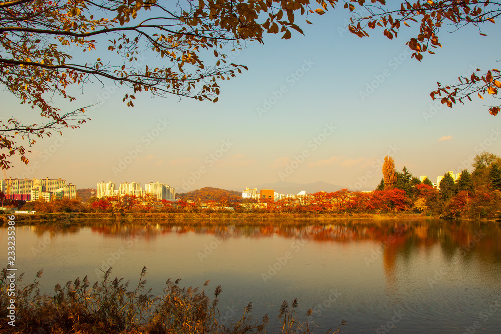 Beautiful autumn landscape of lake.