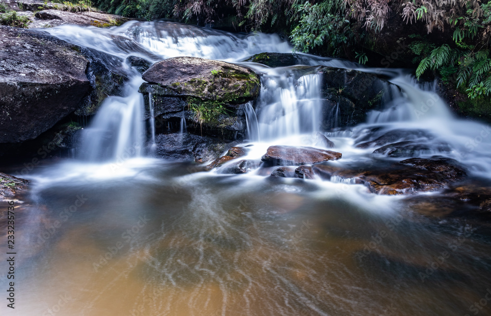 Obraz premium Wedding Veil