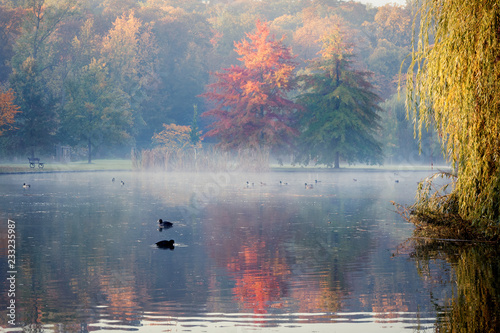 Canvas Print Scenic view of Stromovka park in Prague, Czech Republic