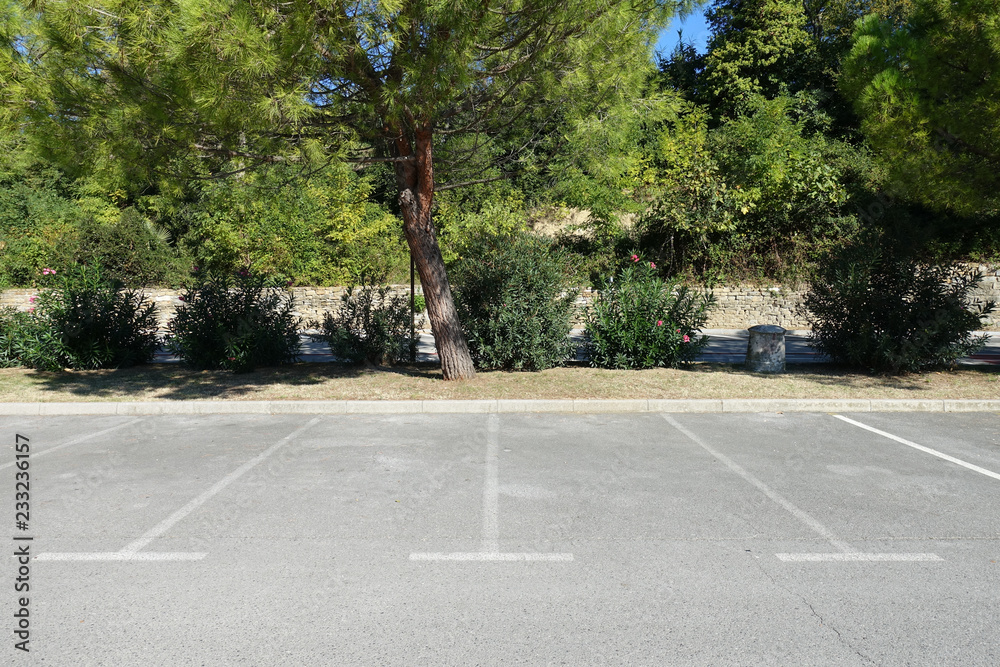 Empty parking spaces on the street. Parking area environment. City street road side view.
