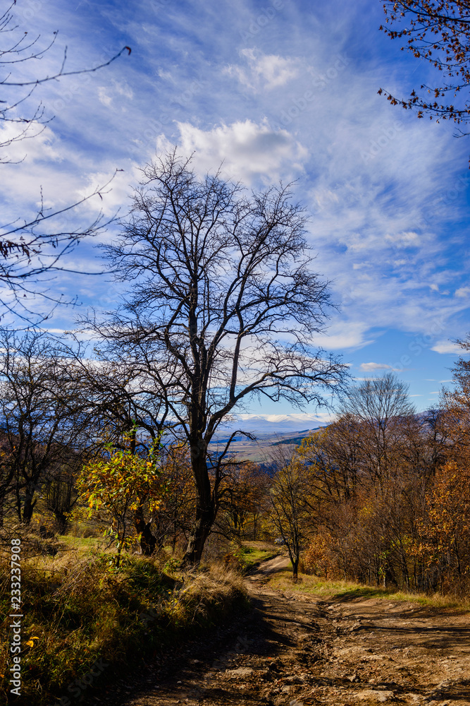 Beautiful forest landscape with amazing clouds, Armenia