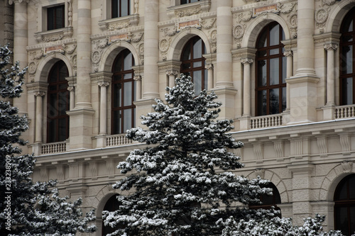 Snowy tree at Maria-Theresien-Platz, a large public square in Vienna, Austria after a huge snowfall photo