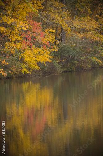 Autumn leaves reflecting on the water