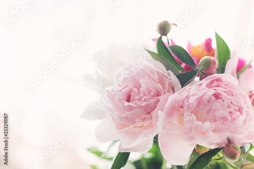 Fototapeta Naklejka Na Ścianę i Meble -  bouquet of delicate pink peonies in the early morning