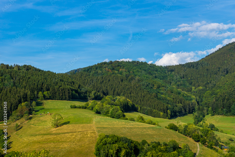 Germany, Black forest nature in vacation region to recover in paradise
