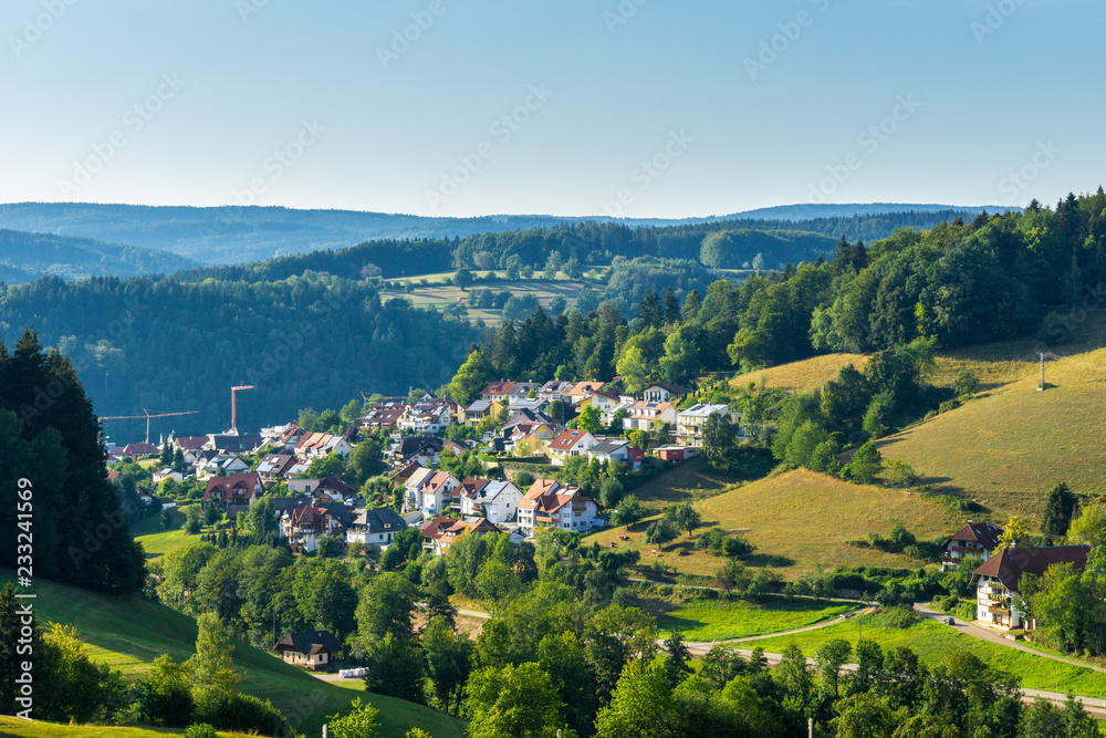 Germany, Idyllic black forest village of Elzach from above