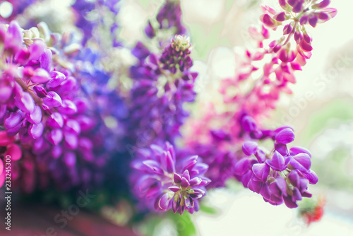 Pink and purple lupines in a vase on a Sunny summer day. Blur Background. The main object out of focus