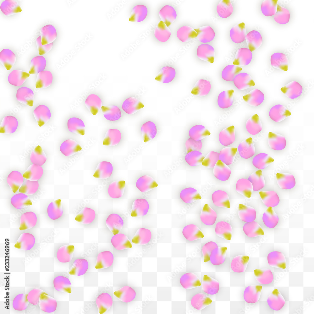 Vector Realistic Pink Petals Falling on Transparent Background. Spring Romantic Flowers Illustration. Flying Petals. Sakura Spa Design. Blossom Confetti. Vector Realistic Pink Petals Falling on Transparent Background. Spring Romantic Flowers Illustration. Flying Petals. Sakura Spa Design. Blossom Confetti.
