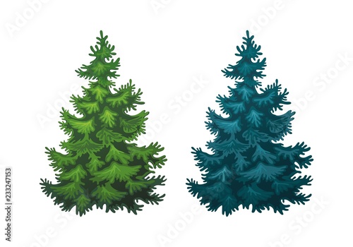 Realistic vector illustration of fir tree on white background. Green and blue fluffy pines, isolated on white background 1.1