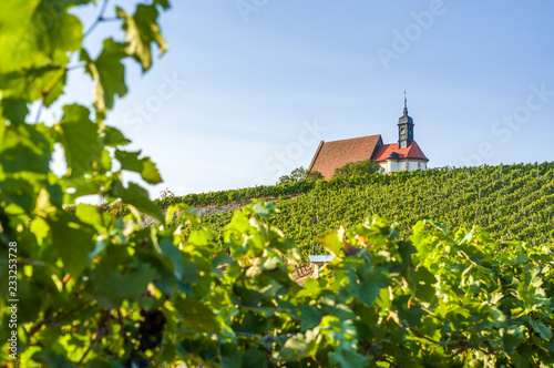 Weinberg, Wallfahrtskirche Maria im Weingarten und blauer Himmel bei Sonnenschein nahe der Stadt Volkach, umrahmt von Weinreben und Weinblätter photo