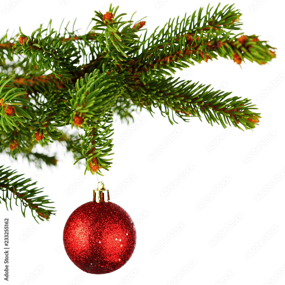 Christmas tree branch with ball