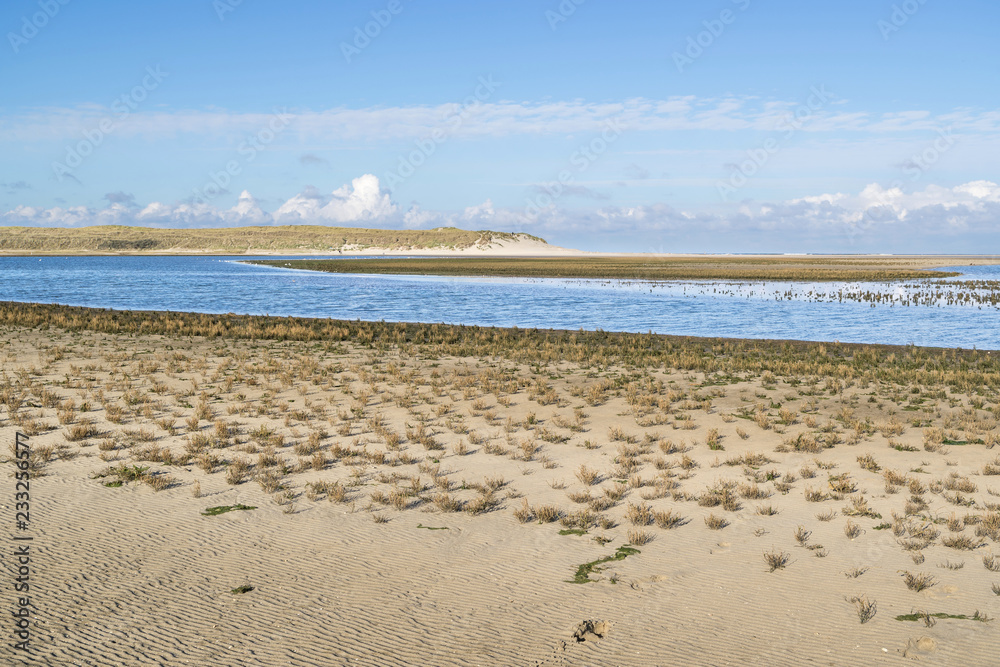 The Slufter in the Dunes of Texel National Park in the Netherlands The Slufter in the Dunes of Texel National Park in the Netherlands