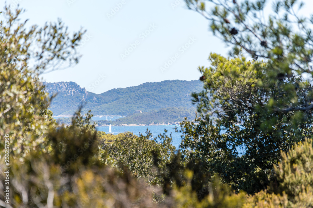 Seacoast in summer of the island of Porquerolles