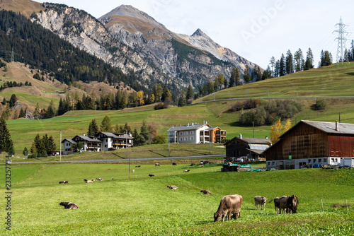 Schweiz - Graubünden - Bergün photo