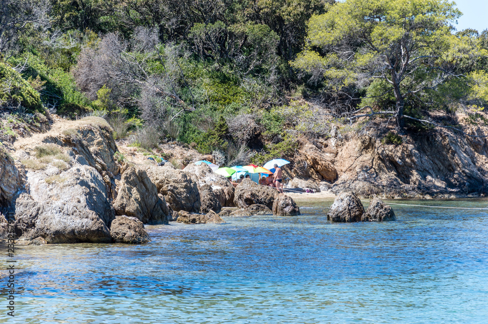 Seacoast in summer of the island of Porquerolles