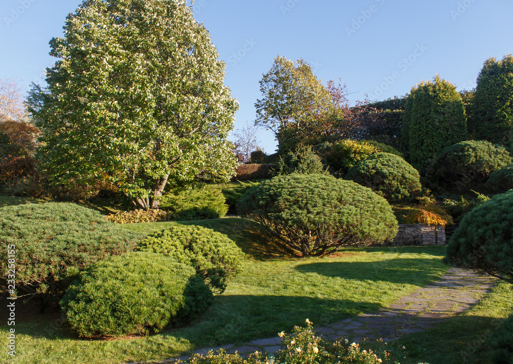 Cottage garden with green lawn, trees and trimmed bushes.