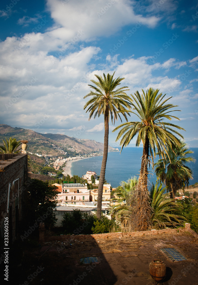 View over sicilia with palms