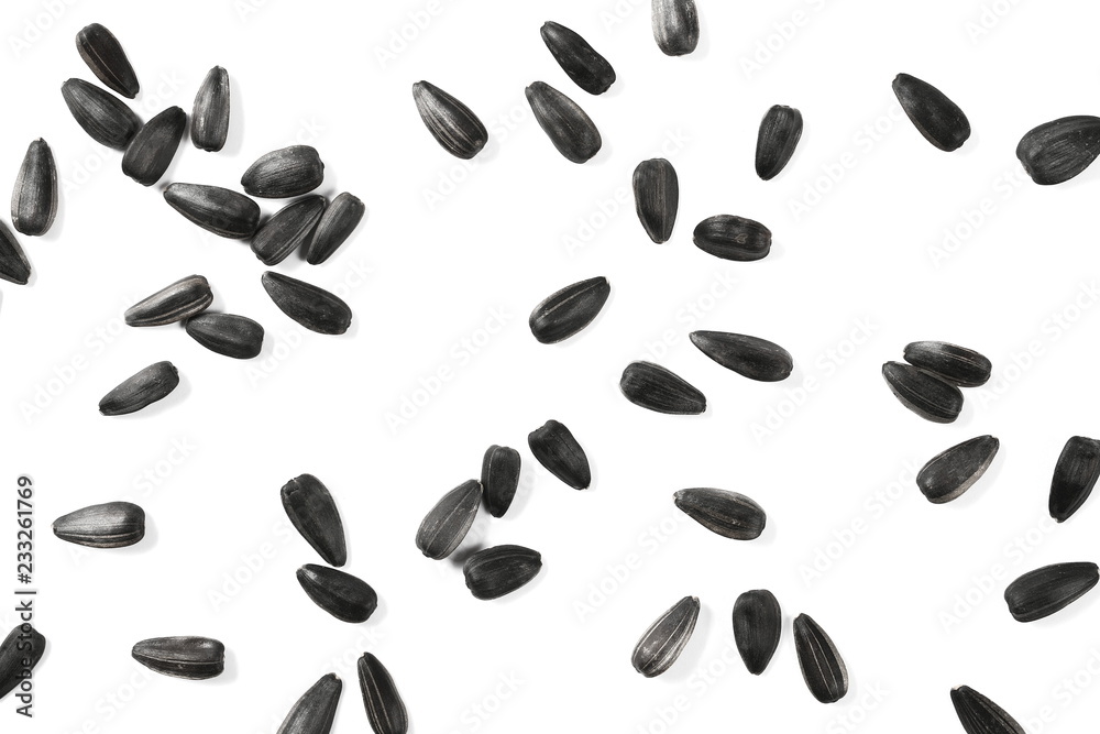 Sunflower seeds pile isolated on white background, top view