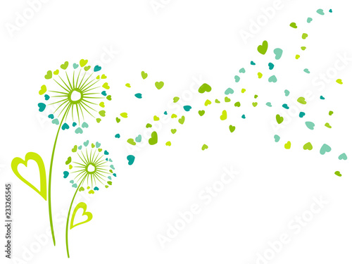 Dandelion flowers summer vector card. Heart shaped feather, leaves, flying pe...