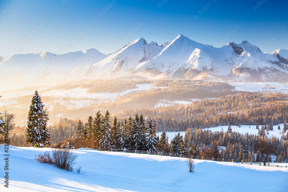 Fototapeta premium Winter mountain landscape