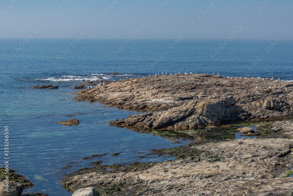 View at the sea and rocks with seagulls on atlantic ocean