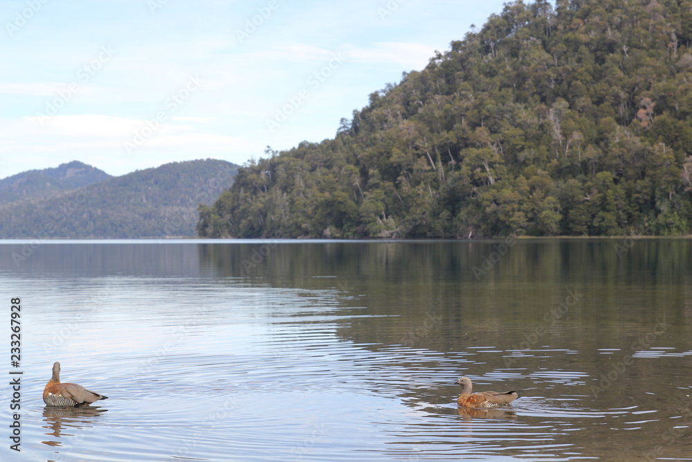Lago Correntoso, Siete Lagos, San Martin de los Andes, Villa La Angostura, Neuquen, Patagonia Argentina Lago Correntoso, Siete Lagos, San Martin de los Andes, Villa La Angostura, Neuquen, Patagonia Argentina