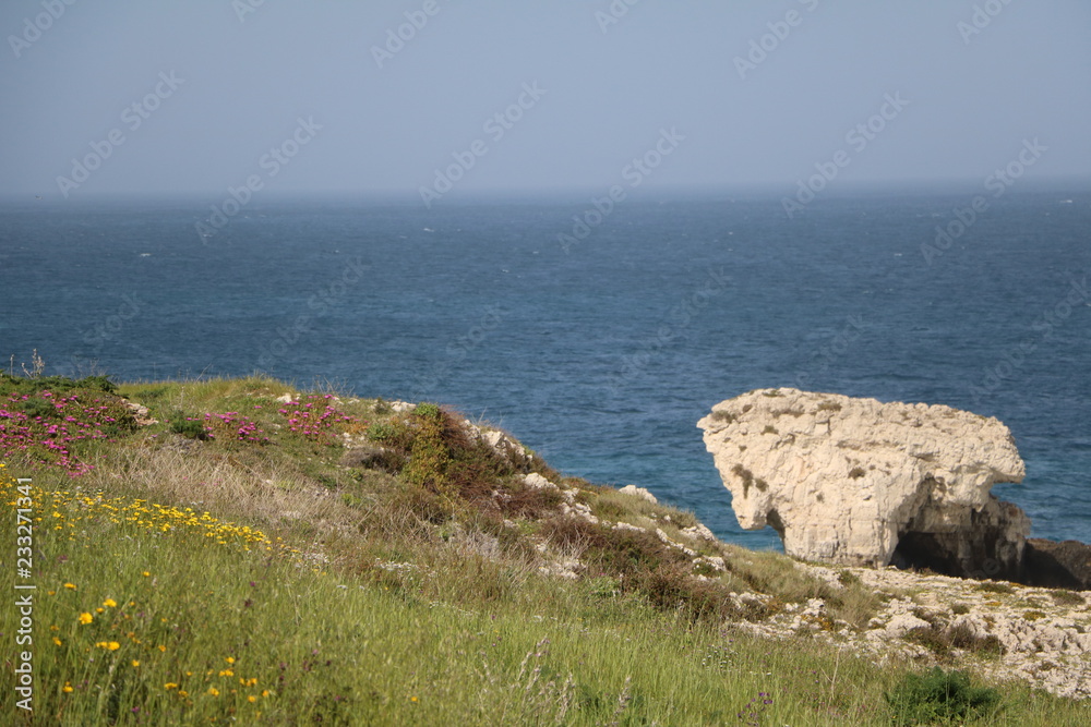 Blooming coastal landscape in Syracuse in spring at the Mediterranean Sea, Sicily Italy