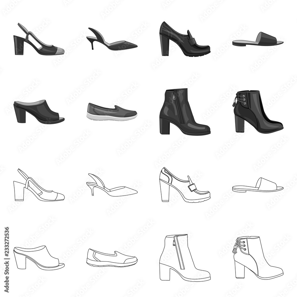 Vector illustration of footwear and woman symbol. Set of footwear and foot stock vector illustration. Vector illustration of footwear and woman symbol. Set of footwear and foot stock vector illustration.
