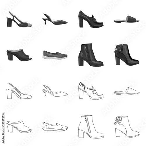 Vector illustration of footwear and woman symbol. Set of footwear and foot stock vector illustration.