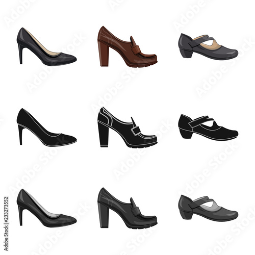 Vector illustration of footwear and woman sign. Collection of footwear and foot vector icon for stock.