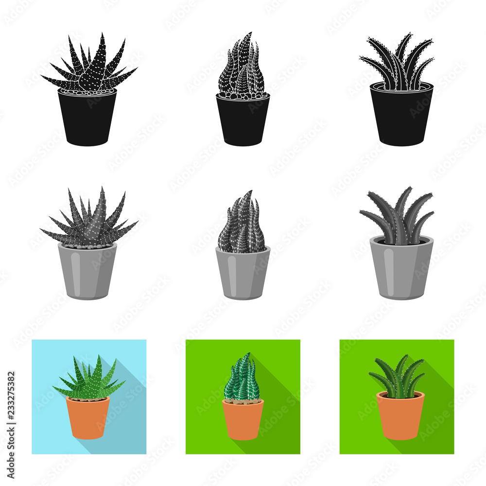 Isolated object of cactus and pot logo. Set of cactus and cacti stock vector illustration. Isolated object of cactus and pot logo. Set of cactus and cacti stock vector illustration.