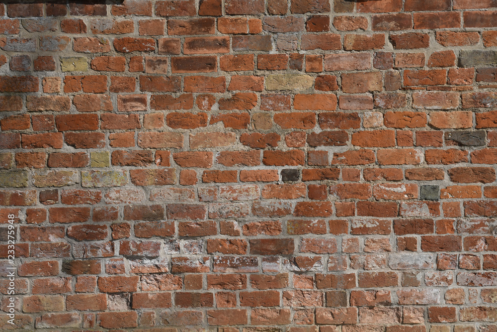 Fototapeta premium Brick Texture Background