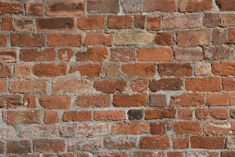 Naklejka premium Brick Wall Texture