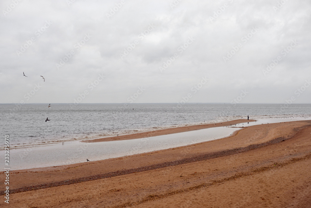 Beach on coast of Baltic sea.