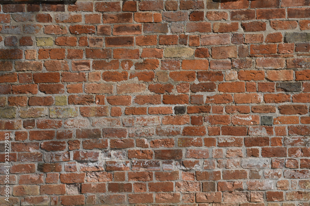 Fototapeta premium Brick Texture Background