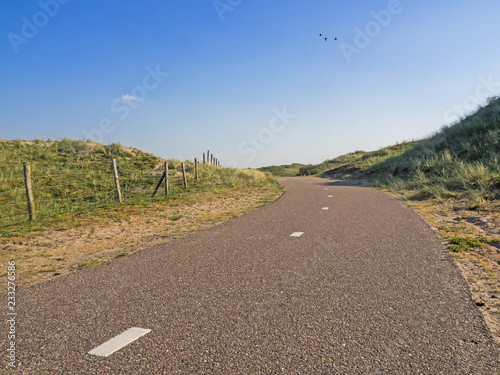 Asphaltierter Radweg mit Trennlinie in den Waterleidingduinen nahe Amsterdam und Zandvoort, Niederlande