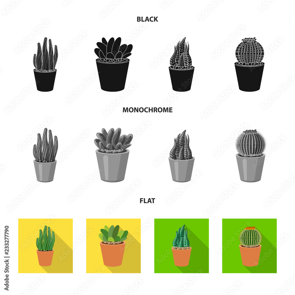 Isolated object of cactus and pot sign. Set of cactus and cacti vector icon for stock. Isolated object of cactus and pot sign. Set of cactus and cacti vector icon for stock.