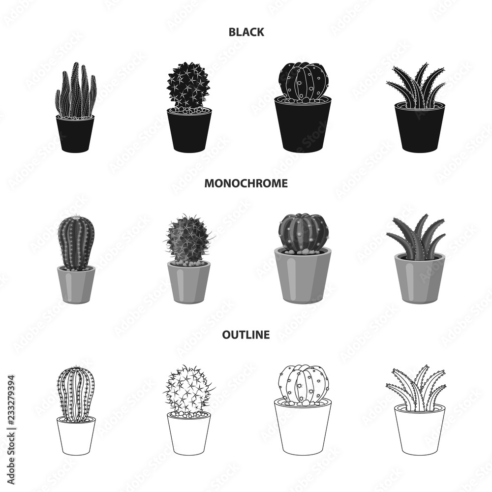 Isolated object of cactus and pot icon. Collection of cactus and cacti stock symbol for web.