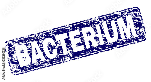 BACTERIUM stamp seal print with grunge texture. Seal shape is a rounded rectangle with frame. Blue vector rubber print of BACTERIUM label with unclean texture.