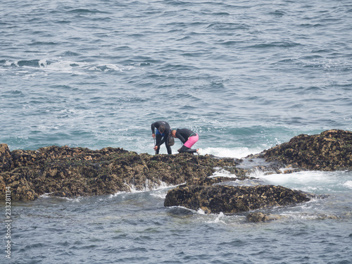 Quadro su tela Dos personas recolectando percebes en La Coruña , en medio del mar, verano de 20