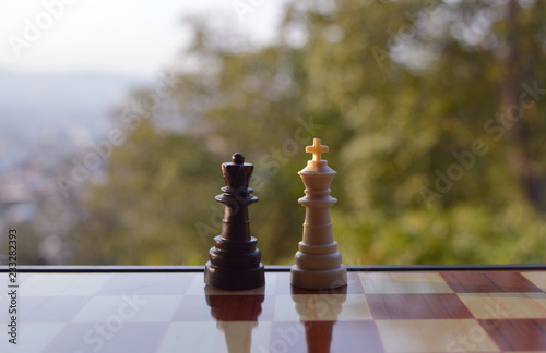 Chess photographed on a chessboard