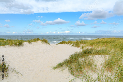 Fototapeta Naklejka Na Ścianę i Meble -  View on the beautiful landscape with beach and sand dunes at the North Sea, Jutland Denmark