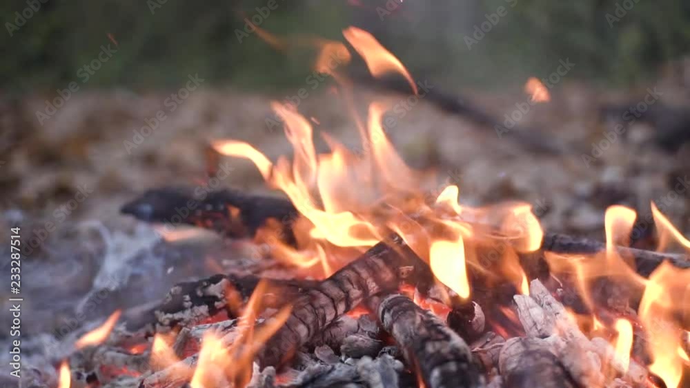 Background with orange fire, campfire in summer forest Background with orange fire, campfire in summer forest