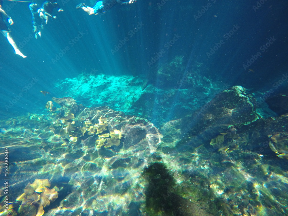 Fototapeta premium Cenote meksykańskie