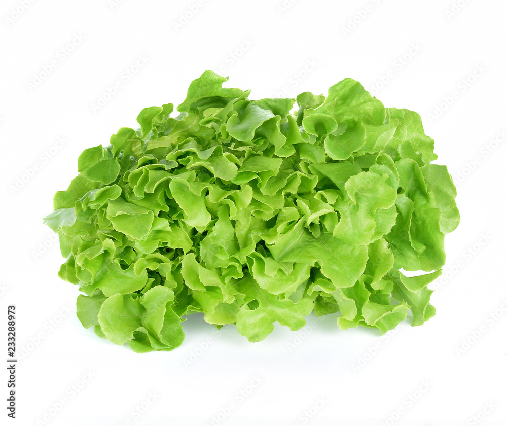 Salad leaf Lettuce isolated on white background Salad leaf Lettuce isolated on white background